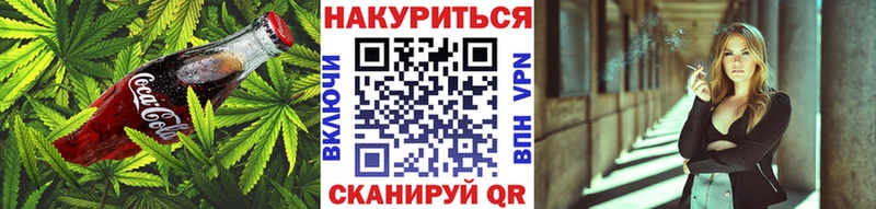 Canna-Cookies марихуана Суздаль