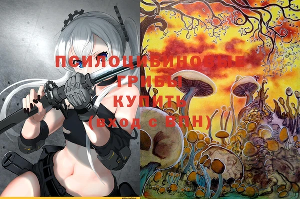 сатива Абинск