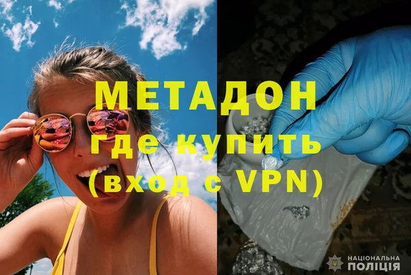 прущие грибы Нефтекумск