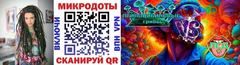 Псилоцибиновые грибы мухоморы  Суздаль 